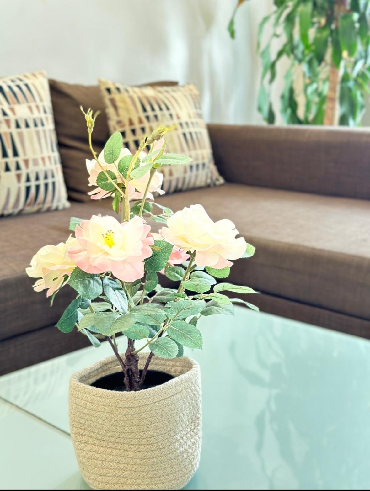 Appart Design, Plein Centre 마르세유 외부 사진